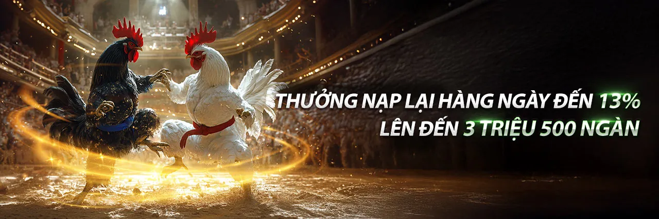 Hình ảnh chính của blog Betvisa nhà cái 2026