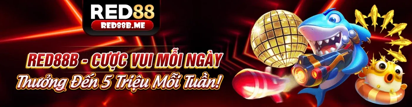 Giao diện hướng dẫn đặt cược thể thao từng bước tại Betvisa Nhà Cái